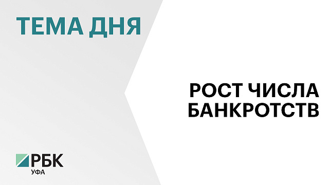 Число судебных банкротств жителей Башкортостана за год выросло на 14,6%