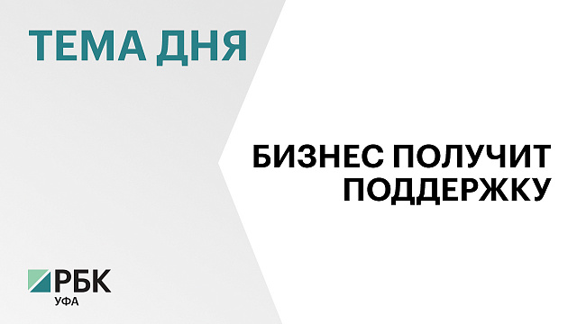 Башкортостан получит более ₽420 млн субсидий на поддержку МСП