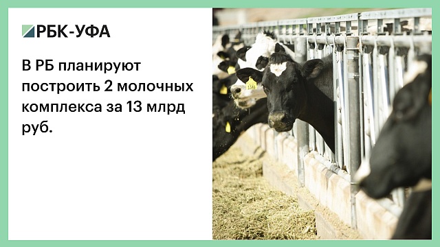 В РБ планируют построить 2 молочных комплекса за 13 млрд руб.