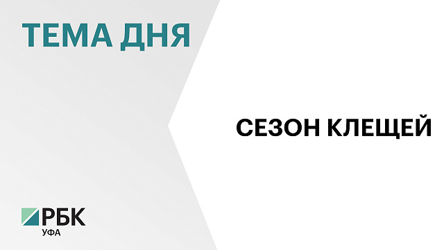 В Башкортостане зарегистрировали 4 случая укусов клещей