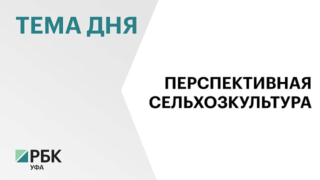 ₽553 млн направит компания «Авилат» на производство и переработку конопли в Буздякском районе