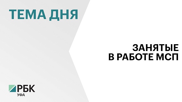 Доля занятых в малом и среднем бизнесе в Башкортостане выросла до 37%