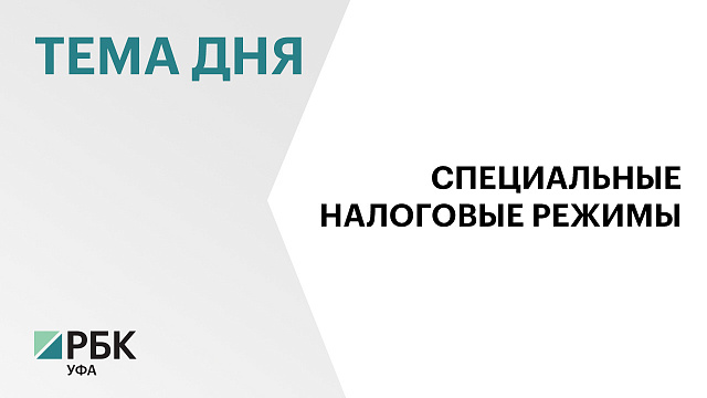 Специальные налоговые режимы в 2025 г. принесли в бюджет Башкортостана ₽24,5 млрд