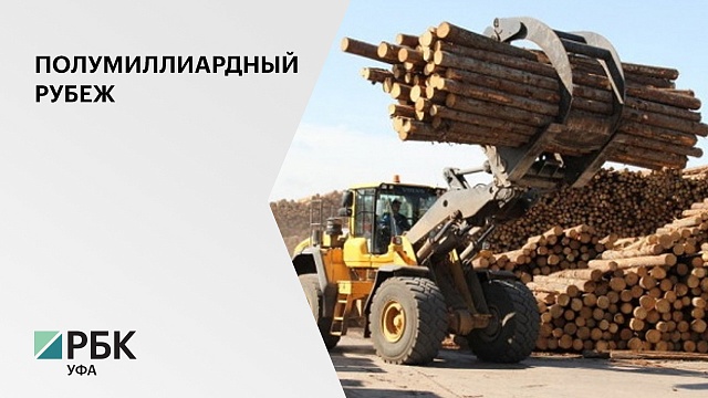 В 2019 г. в консолидированный бюджет от пользования лесными ресурсами было направлено 580 млн руб.