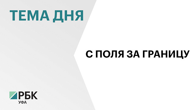 Дорогая логистика внутри страны снижает маржинальность экспорта сельхозпродукции