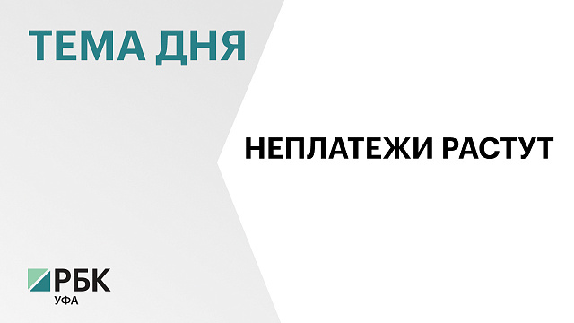В Башкортостане просрочка по розничным кредитам за полгода выросла на 5%