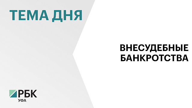 В Башкортостане зафиксировали снижение числа внесудебных банкротств граждан