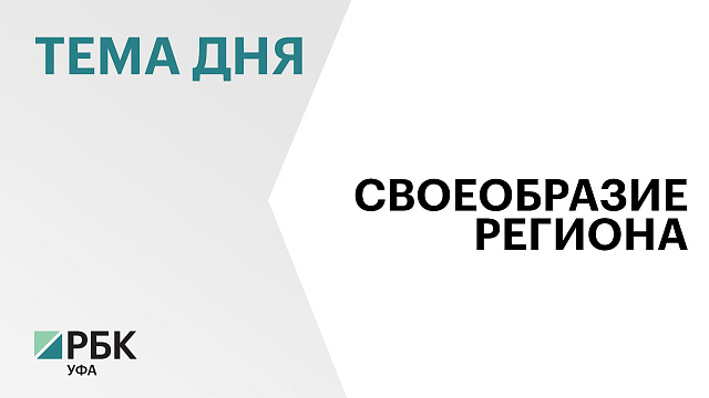 Роспатент зарегистрировал региональный бренд «Башкирский палас»
