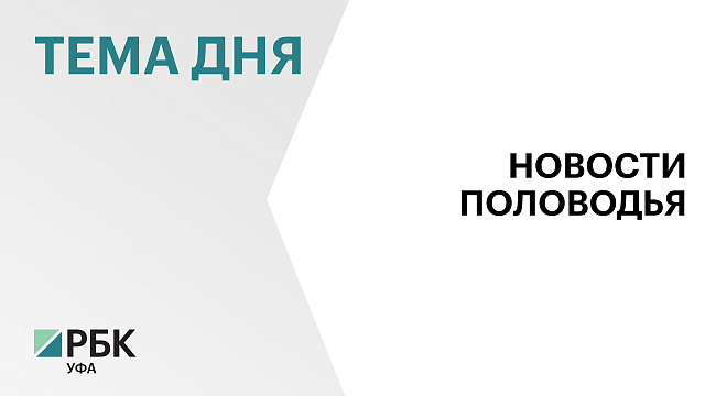 Уровень воды в реке Белой близ Уфы за сутки поднялся на 61 см, около Стерлитамака - опустился на 13 см
