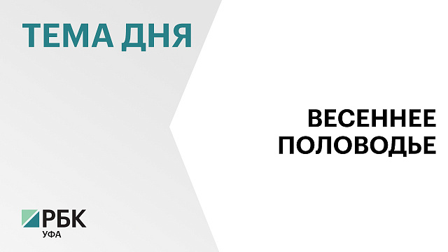 Спасательные службы за выходные получили 256 сообщений о подтоплении талыми водами