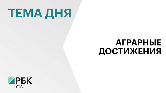 Объём валовой продукции сельского хозяйства в Башкортостане с января по ноябрь составил ₽266,3 млрд