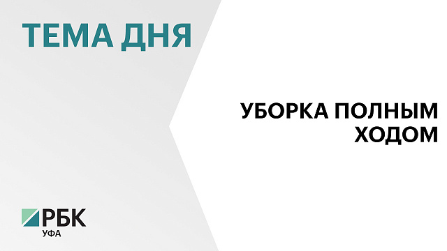 600 тыс. тонн зерна намолотили в Башкортостане  