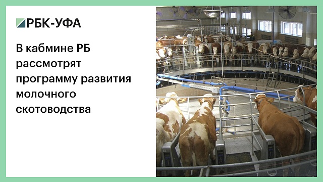 В кабмине РБ рассмотрят программу развития молочного скотоводства