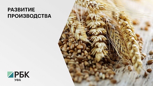 Компания «Мичуринский» вложит в производство фуражного зерна ₽240 млн 