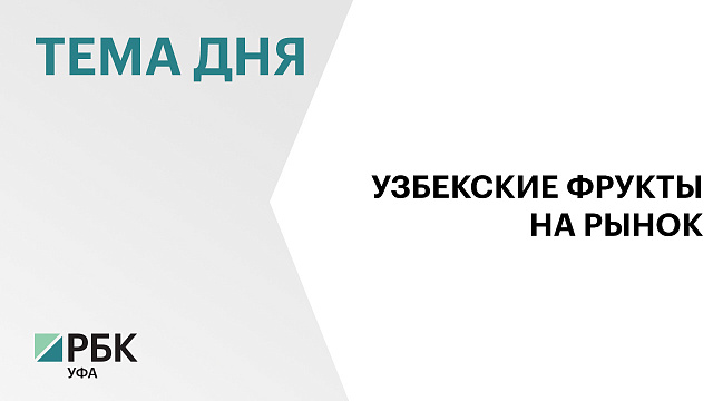 В Башкортостане строят 2 крупных оптово-распределительных центров по поставке плодоовощной продукции за ₽2,5