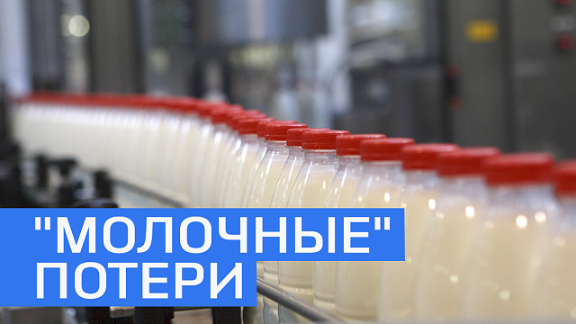 В РБ производители молока теряют 20-30% прибыли из-за фальсификата. 