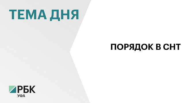 ₽168 млн выделили на поддержку садовых товариществ в 2025 году