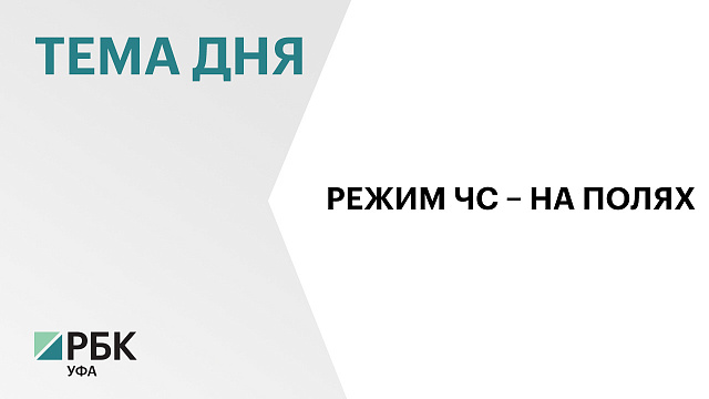 В семи районах Башкортостана ввели режим ЧС из-за гибели посевов
