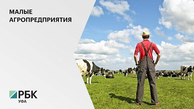 В Башкортостане 50 начинающих фермеров получили ₽154 млн в виде грантов на реализацию стартапов
