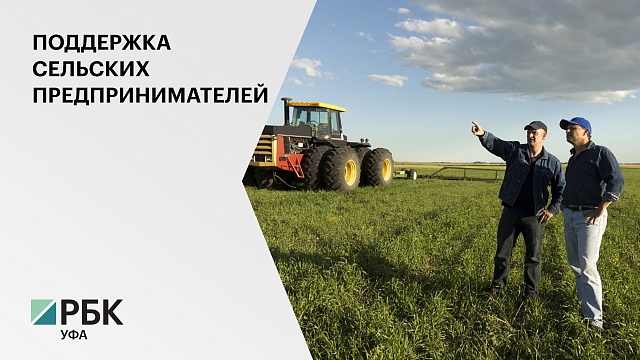 Господдержка малых агропредприятий РБ в 2021 г. составит 660 млн руб.