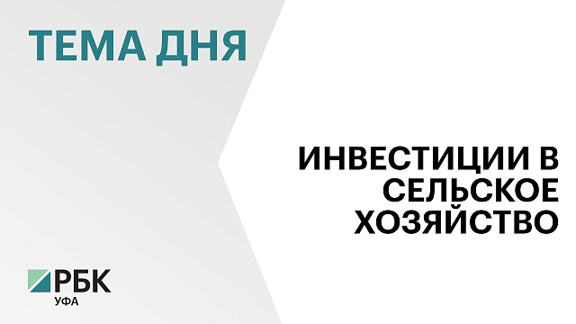 В Башкортостане возведут теплицы за ₽1,6 млрд для выращивания клубники