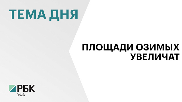 Площади озимых культур в Башкортостане планируют увеличить на 30 %