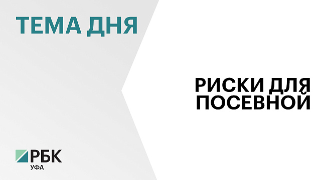 Аграрии Башкортостана планируют оформить льготные кредиты на ₽15-17 млрд на посевную 2025 г.