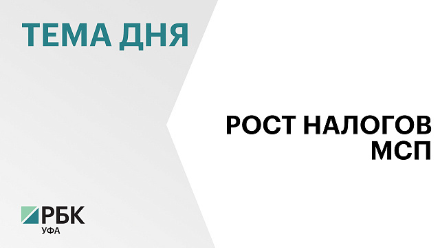 В Башкортостане субъекты МСП за 7 мес. 2025 г. заплатили ₽17,6 млрд налогов