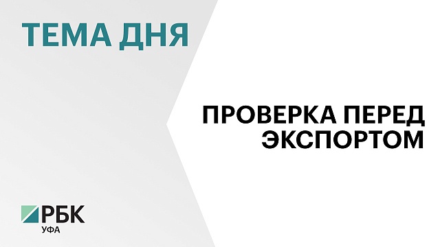Экспорт пиломатериалов из Башкортостана в 2023 г. сократился на 37,9%