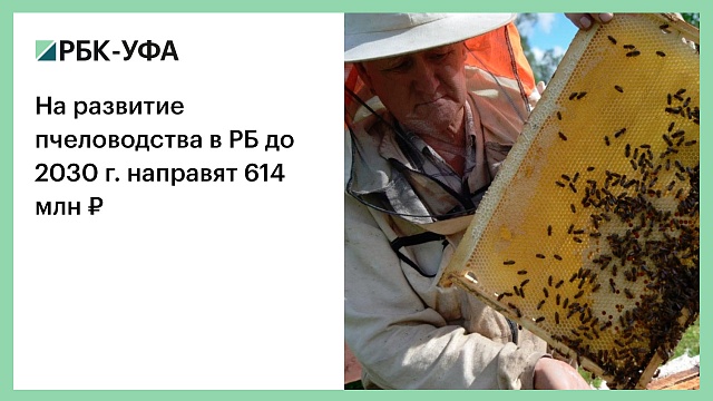 На развитие пчеловодства в РБ до 2030 г. направят 614 млн ₽
