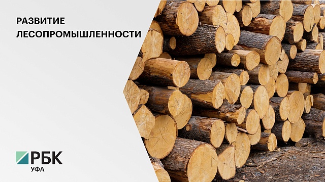 Власти РБ планируют к 2024 г. удвоить производство древесины и изделий из неё до ₽42 млрд