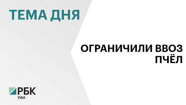 Россельхознадзор временно ограничил ввоз пчёл на территорию страны двум предприятиям из Узбекистана