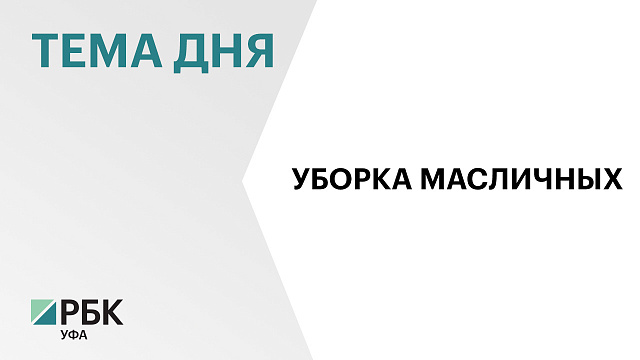 В Башкортостане намолотили 13,5 тысяч тонн маслосемян