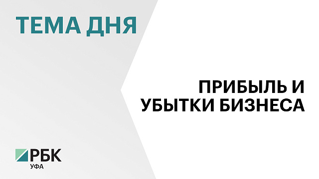Убытки крупного и среднего бизнеса Башкортостана сократились вдвое