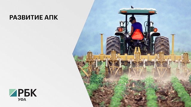 В прошлом году объем валовой продукции сельского хозяйства в Башкортостане составил 161 млрд руб.