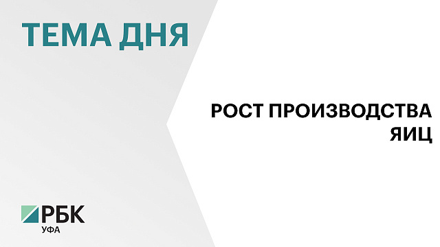 Производство яиц в Башкортостане за год выросло более чем в полтора раза