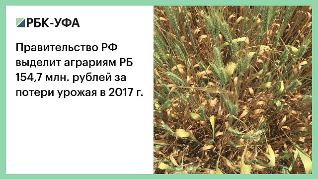 Правительство РФ выделит аграриям РБ 154,7 млн. рублей за потери урожая в 2017 г. (17:08)