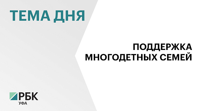 ₽1,25 млрд направили на поддержку многодетных семей в Башкортостане в 2025 г.