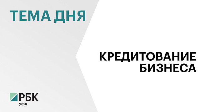 В Башкортостане компании и предприниматели привлекли за I полугодие 2025 г. ₽310,5 млрд кредитов