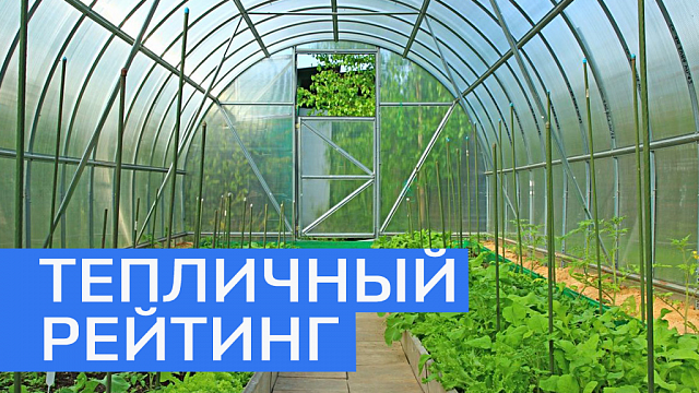 РБ вошла в топ-5 регионов РФ по сбору тепличных овощей