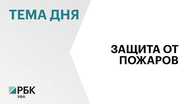 В Башкортостане до 1 апреля увеличат количество камер системы видеомониторинга "Лесохранитель"