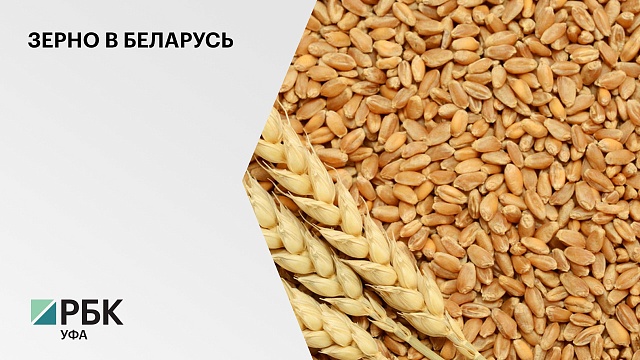 Аграрии РБ в 2021 году экспортировали в Беларусь 9,5 тысяч тонн продукции на $3,6 млрд
