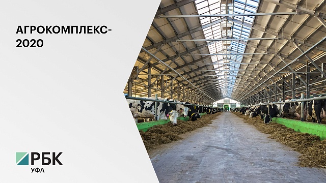 Общий объём инвестиций в комплекс мощностью 36 тысяч тонн молока в год составит 2,3 млрд руб.