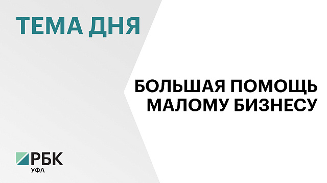 Налоги от МСП в Башкортостане в 2025 г. выросли на 10%, до ₽24,4 млрд