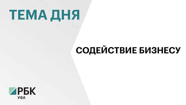 Более ₽28 млн в Башкортостане направили на развитие малого и среднего предпринимательства 