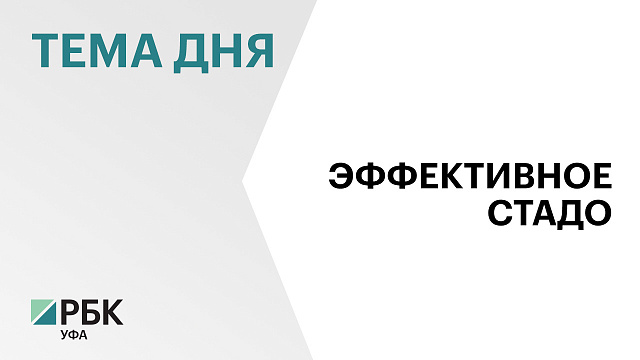 ₽25 млн направили на развитие геномной селекции в Башкортостане в 2025 г. 