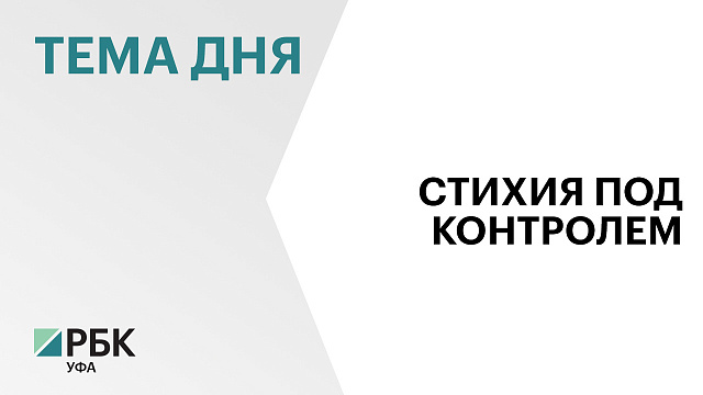 С начала 2025 г. в Башкортостане произошло 25 природных пожаров на площади 35 га