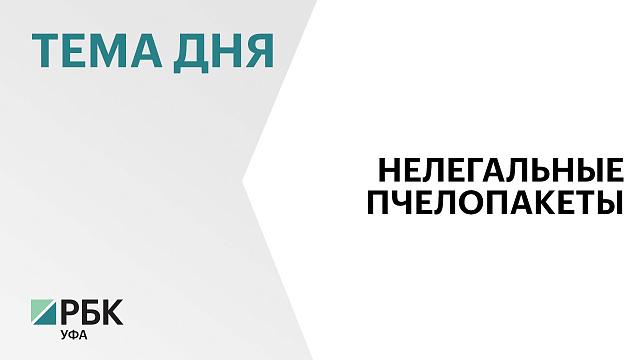 В Башкортостане усилят работу по борьбе с нелегальным ввозом пчелопакетов