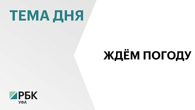 В Башкортостане из-за переувлажнения почвы погибли сельхозкультуры на ₽114 млн